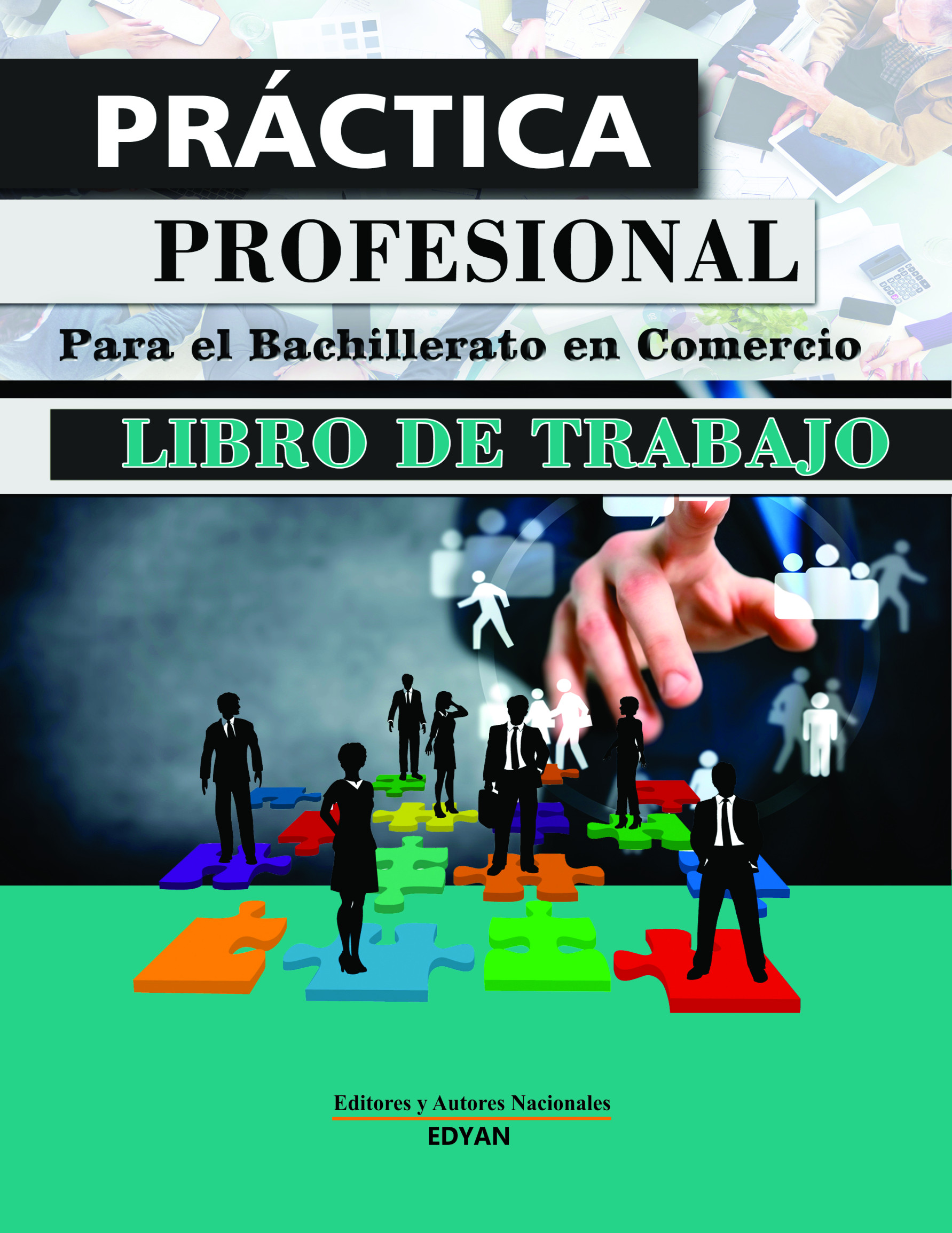 Práctica Profesional – LT